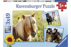 Ravensburger Puzzel (3x49stuks) - Schattige pony's