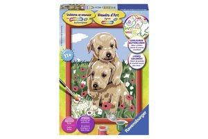 Ravensburger Schilderen op nummer - Knuffelende puppies