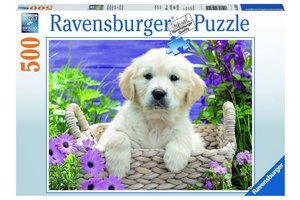 Ravensburger Puzzel (500stuks) - Schattige Golden Retriever