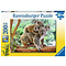 Ravensburger Puzzel (XXL) 200stuks - Familie koala