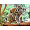 Ravensburger Puzzel (XXL) 200stuks - Familie koala