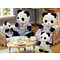 Sylvanian Families Sylvanian Families - Familie Panda