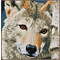 Verachtert Diamond Painting Kit - Wolf