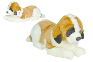 Saint Bernard (pluche) - 50cm - 1 exemplaar