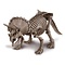 4M KidzLabs - Graaf je dinosaurus op (Triceratops)