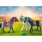 Playmobil PM Country - 3 paarden (het Friese paard, de Knabstrupper, de Andalusiër) 70999