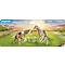 Playmobil PM Country - 2 Ijslandse pony's met veulens 71000