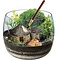 Clementoni Wizarding World - Harry Potter - Terrarium