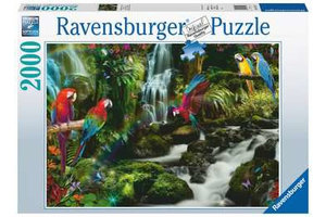 Ravensburger Puzzel (2000stuks) - Bonte papegaaien in de jungle