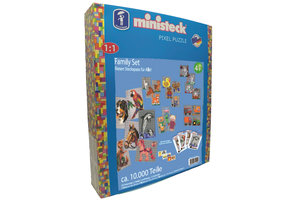 Ministeck Ministeck (XXL Box) - Family-Set (10000stuks)