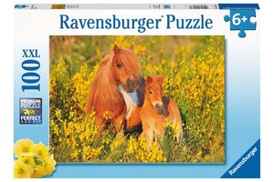 Ravensburger Puzzel (XXL) 100stuks - Shetland pony's