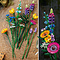 LEGO LEGO Icons Boeket met wilde bloemen - 10313