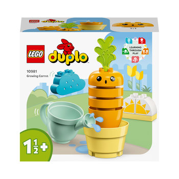 LEGO LEGO Duplo Groeiende wortel - 10981