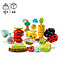 LEGO LEGO Duplo Biotuintje - 10984