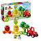 LEGO LEGO Duplo Fruit- en Groentetractor - 10982