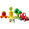 LEGO LEGO Duplo Fruit- en Groentetractor - 10982