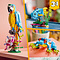 LEGO LEGO Creator 3-in-1 Exotische Papegaai - Kikker -Vis - 31136