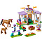 LEGO LEGO Friends Paardentraining - 41746