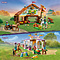 LEGO LEGO Friends Paardentraining - 41746