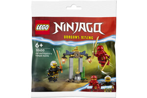 LEGO LEGO Ninjago Tempelstrijd van Kai en Repton (polybag) - 30650