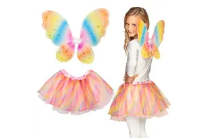 Set Regenboogfee (vleugels + tutu)