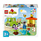 LEGO LEGO Duplo Bijen en bijenkorven - 10419