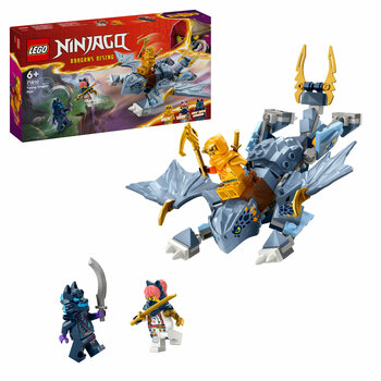 LEGO LEGO Ninjago Jonge draak Riyu - 71810