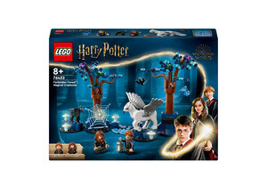 LEGO LEGO Harry Potter Verboden Bos magische wezens - 76432