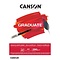 Canson Tekenblok Olie- & Acrylpapier Graduate A3 290gr/20vel - wit