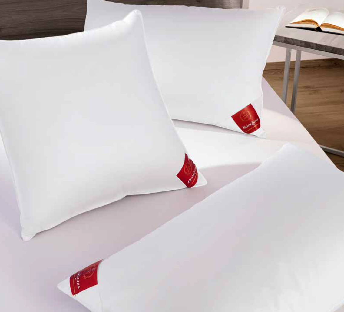 Brinkhaus Oreiller : DOWN SURROUND (Duvet et plumes d'oie blanches polonaises neuves