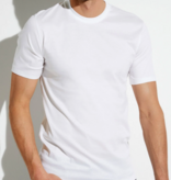 Zimmerli 286 , Sea Island - HEREN  : SHIRT korte mouw SS - 100 % Katoen