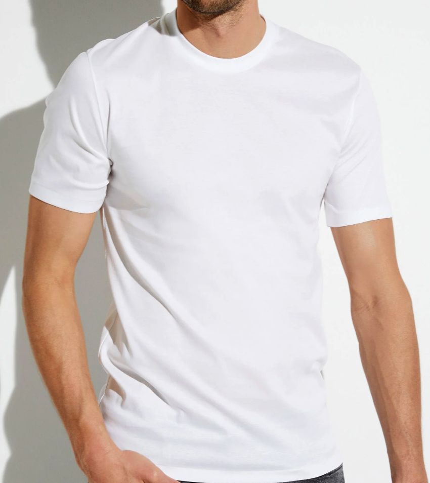 Zimmerli 286, Sea Island - HOMME : CHEMISE manches courtes SS - 100 % coton