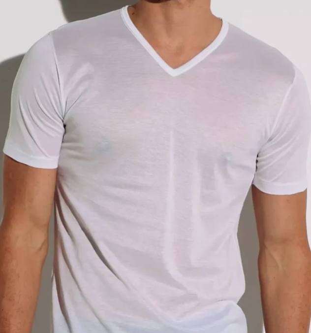 Zimmerli 252 ROYAL CLASSIC (Homme) (Petit V) T-SHIRT VN SS - 100% coton fil fin torsadé et mercerisé,