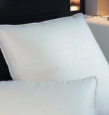 Brinkhaus Boîte - Oreiller JADE (Duvet et plumes d'oie blanche européenne neuve (80% duvet)