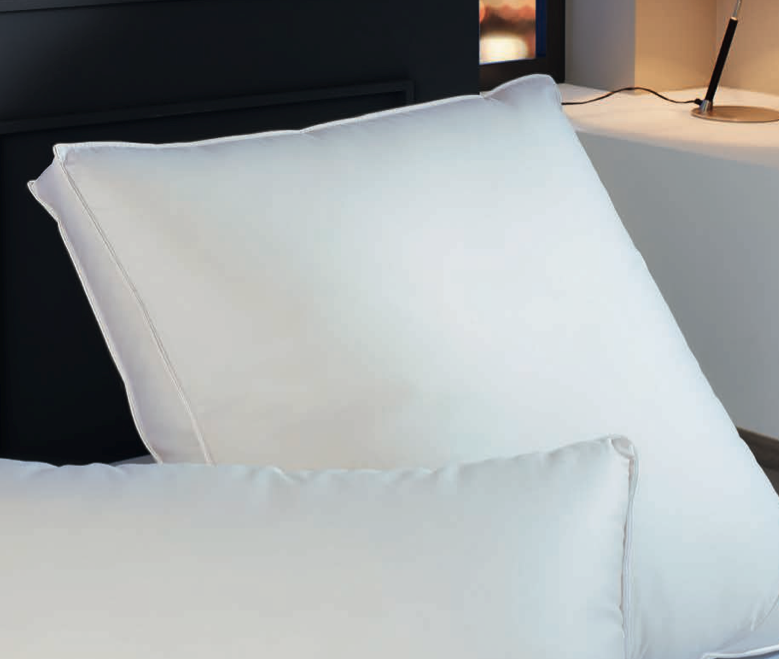 Brinkhaus Boîte - Oreiller JADE (Duvet et plumes d'oie blanche européenne neuve (80% duvet)