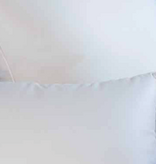 Brinkhaus Boîte - Oreiller JADE (Duvet et plumes d'oie blanche européenne neuve (80% duvet)