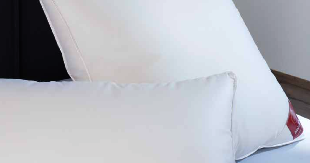 Brinkhaus Boîte - Oreiller JADE (Duvet et plumes d'oie blanche européenne neuve (80% duvet)