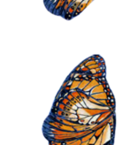 Habidecor  Tapis de bain MARIPOSA (65 % coton égyptien - GIZA / fil long / 35 % acrylique) 1900 g/m²