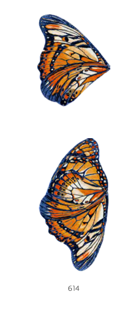 Habidecor  Tapis de bain MARIPOSA (65 % coton égyptien - GIZA / fil long / 35 % acrylique) 1900 g/m²