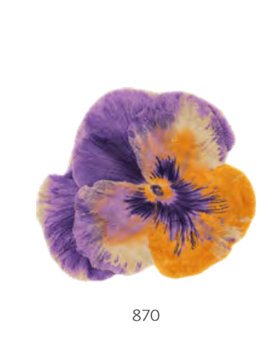 Habidecor  Badtapijt   PANSY  (  100   % Egyptisch katoen - GIZA / lange draad   ) 1900 g/m2