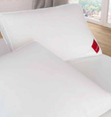 Brinkhaus Hoofdkussen  GLAMOUR ( het BOX -3 -  Kamer )  Nieuwe witte  POOLSE  ganzendons en veertjes ( 90 % dons )