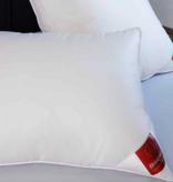 Brinkhaus Oreiller AMBER : Duvet et plumes d'oie blanche polonaise neuve (90 % duvet)