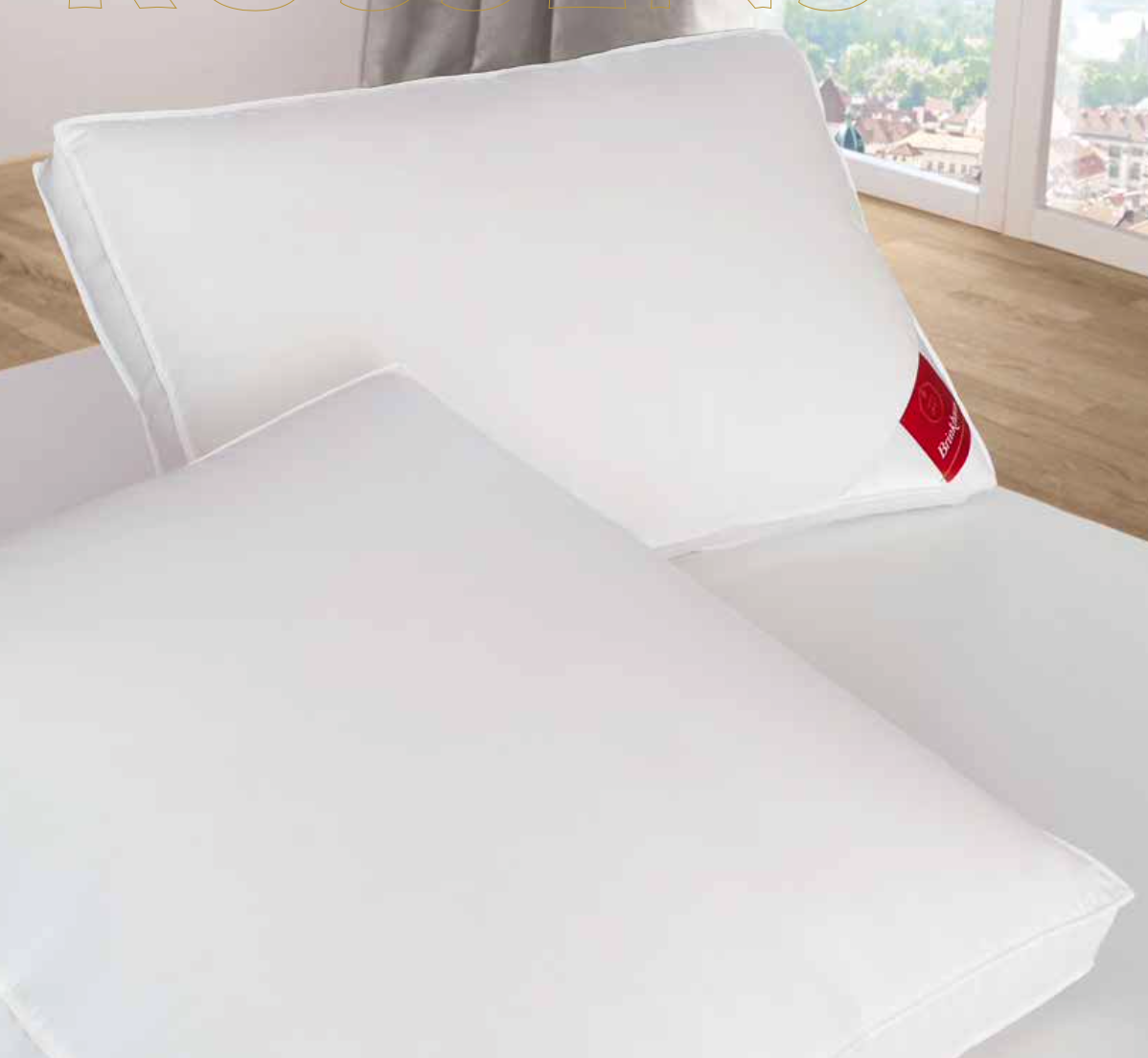 Brinkhaus Box pillow JADE : ( New white European goose down and feathers ( 80% down )