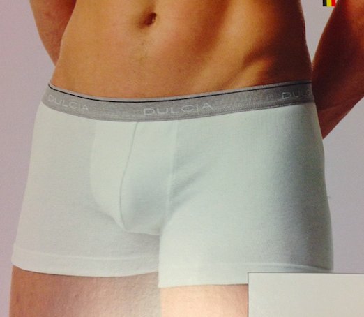Dulcia Boxers pour hommes (côte sensible 1/1) : 95 % coton - 5 % Lycra (Prix pour 2 pièces)
