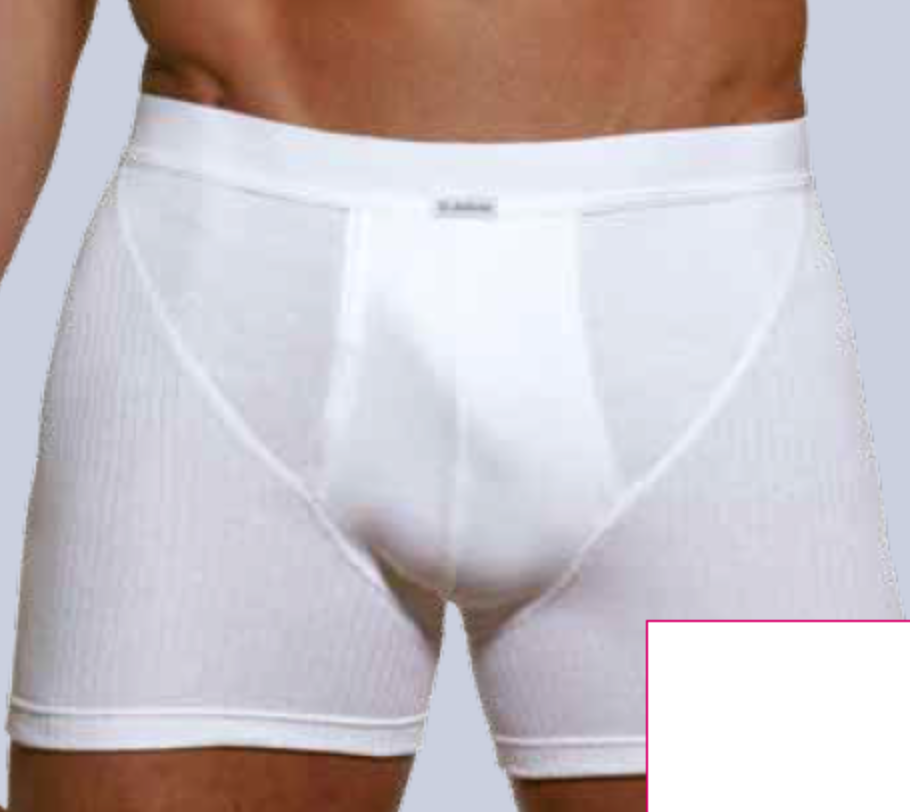 Dulcia Boxers basiques pour hommes : 100 % coton (lot de 2), côtes 6/1