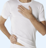 Dulcia T-shirt, Heren ,  korte mouw THERMO dralon, interlock ,  100 % Dralon  ( Per 2  stuks )