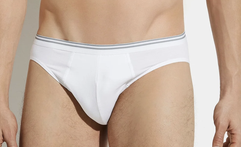 Zimmerli Slips pour hommes, CONFORT PUR / 92 % COTON, 8 % ÉLASTHANNE, JERSEY SIMPLE