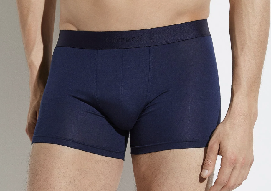 Zimmerli 700 PURENESS PANT , Heren : 95% MICROMODAL, 5% ELASTANE, ENKELE JERSEY , grote elastiek