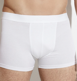 Zimmerli Pantalon 700 PURENESS, Homme : 95 % micromodal, 5 % élasthanne, jersey simple, grande élasticité