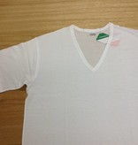 Lisanza uomo T shirt V - model ( 100 % katoen )